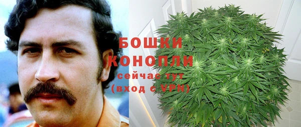 амфетамин Белокуриха