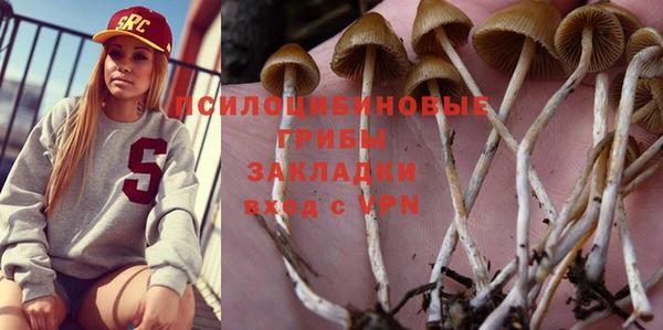 гидропоника Строитель
