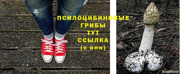 амфетамин Белокуриха